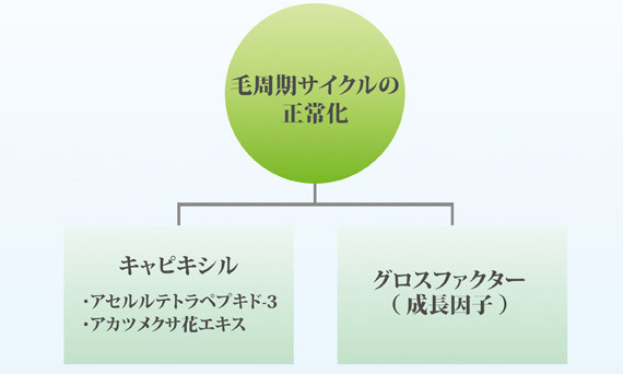 ①トリートメント 1st 毛根に集中トリートメント
