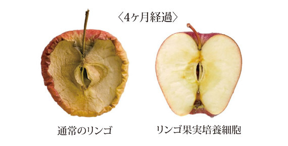 ②、トリートメント 2nd 毛根周辺の皮膚に集中ケア
